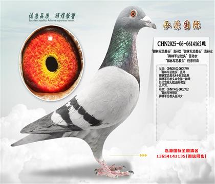 ������܊�����^��ֱ�OX������܊�����^��ֱ�OŮ