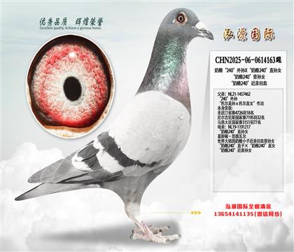 ���ҡ�240����OX������240��ֱ�OŮ