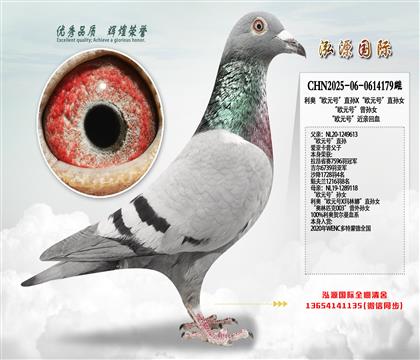 ���W���WԪ̖��ֱ�OX���WԪ̖��ֱ�OŮ