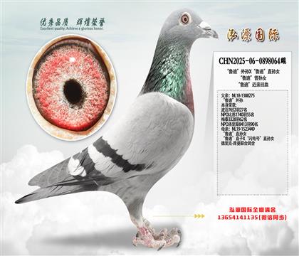 ����?sh��)ϡ���OX����?sh��)ϡ�ֱ�OŮ