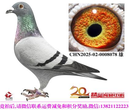 �����������098��240