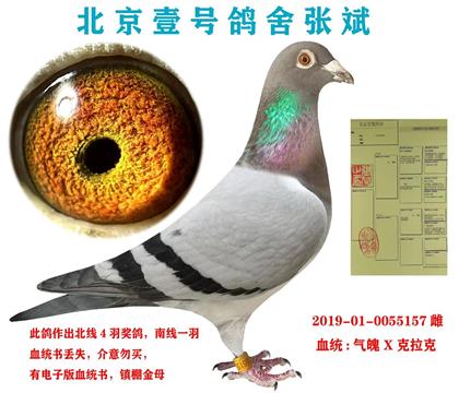 ����(j��)����(j��)���c(di��n)���] ����Ҽ̖(h��o)����