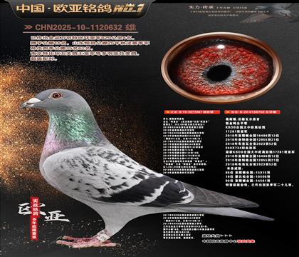 �Ƕ���˹��˹ԭ��987X��˹��ԭ��760