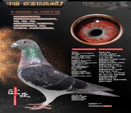 ��˹����ԭ��335X220