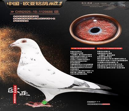 ��˼���ڰ�ѩ����ԭ��884X697