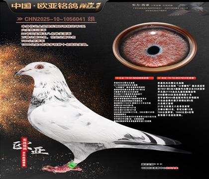 ��˹���ڰ�ѩ����698X054