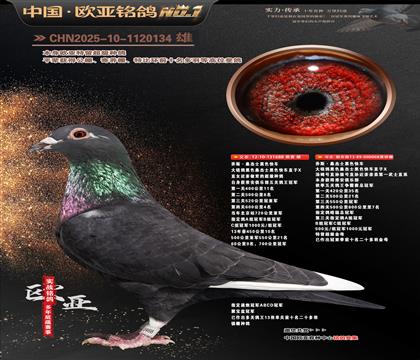 ��˹ɣ��ʿ��ɫ�쳵688X008