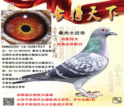 ɣ��ʿ���ף����ܸ����ھ�����