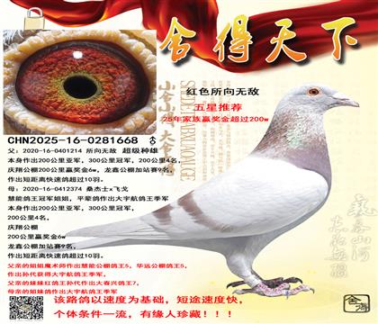 �����죬	�̾���ھ����ֵ�