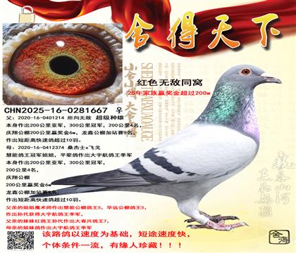 �����죬 �̾���ھ����ֵ�ͬ��