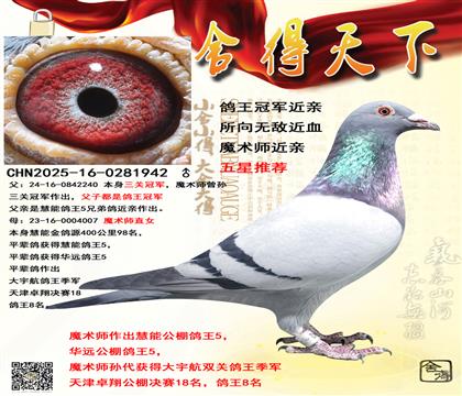 �����ھ�����