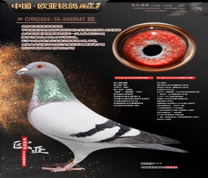 �W��3-14-0459547