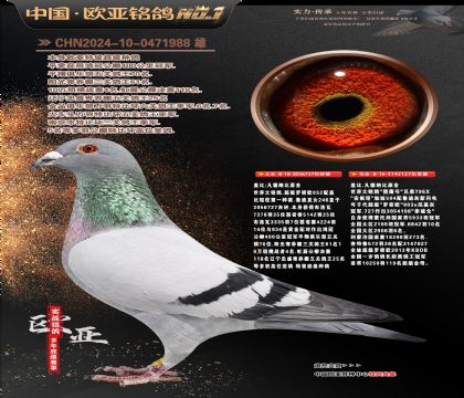 �W��6-5-0471988