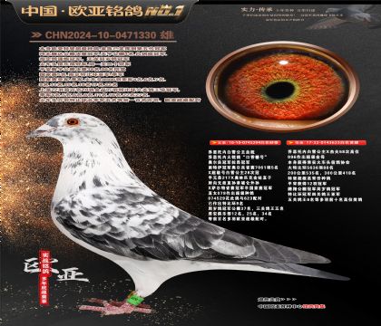 �W��7-15-0471330