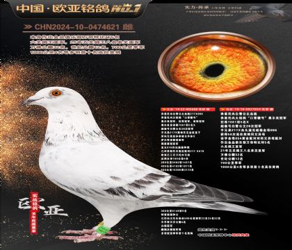 �W��8-3-0474621