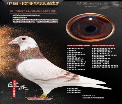 �W��8-19-0459401