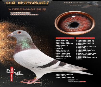 �W��9-16-0471382