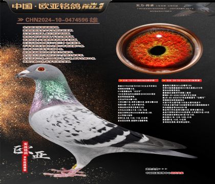 �W��9-17-0474596