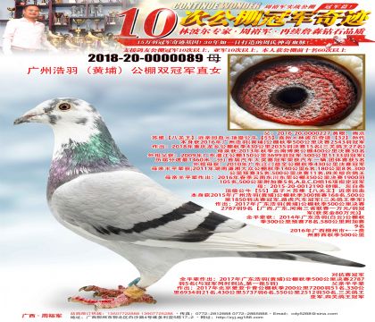 �V�ݺ����S�ң������p��܊ֱŮ