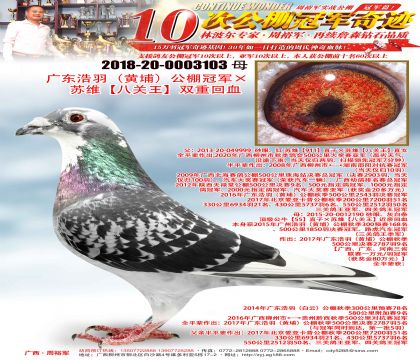 �V�|�����S�ң������܊���K�S�����P(gu��n)�����p�ػ�Ѫ