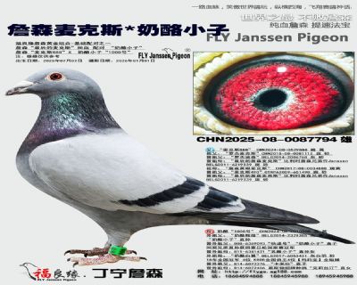 ղɭ���˹/����С��