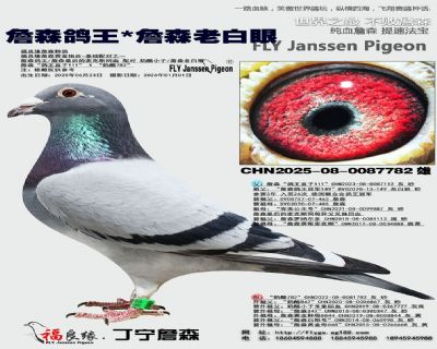 ղɭ����/ղɭ�ϰ���