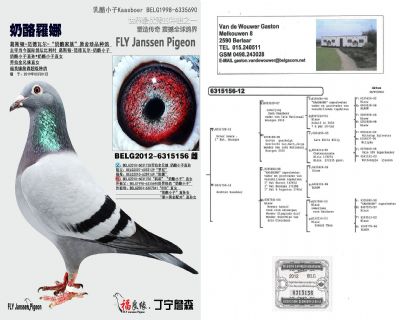 �����_��