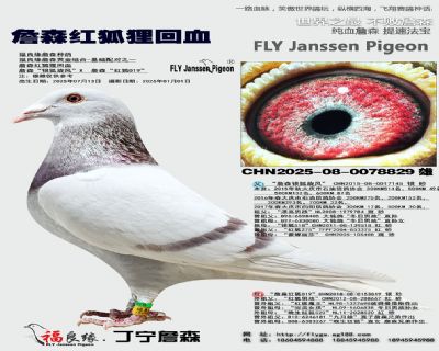 ղɭ������Ѫ