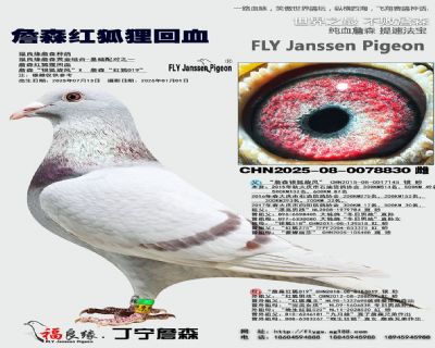 ղɭ������Ѫ