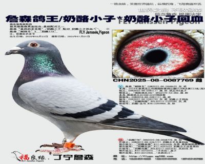 ղɭ����/����С��/����С��