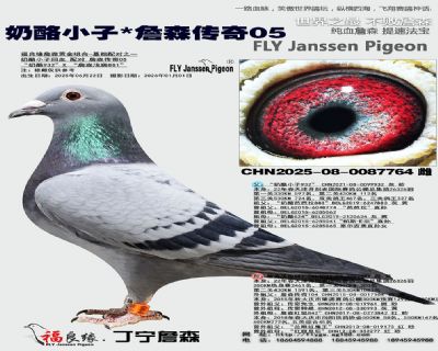 ����С��/ղɭ����05