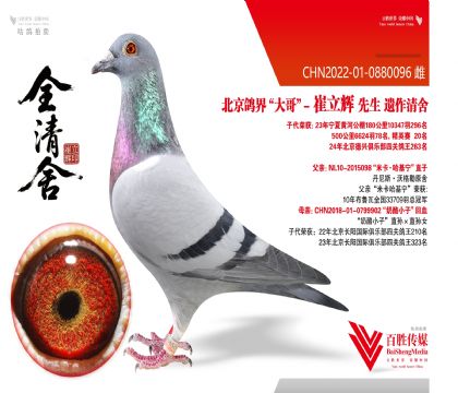 ��(y��u)��Nĸ������78����ĸ�H-0880096