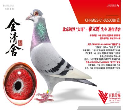 �L(zh��ng)�(y��ng)��܊ƽ݅-0550088