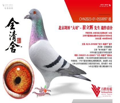 ���A(ch��)�N������98��ֱ��-0550097