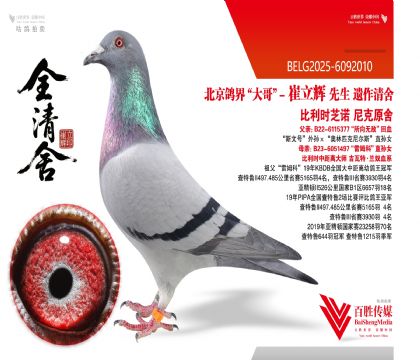 �W��ԭ�ᷲ����ѪϵKBDB������܊-6092010��