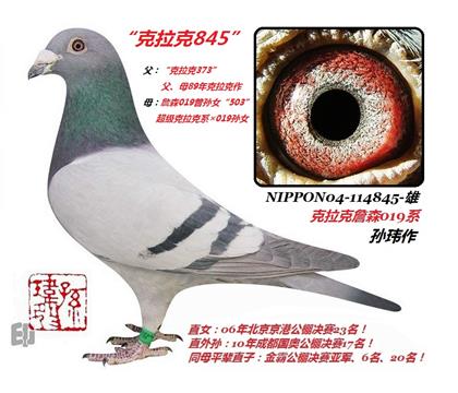 ������ղɭ019ϵ845��