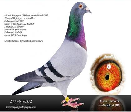 07��KBDB���Ҹ���5��