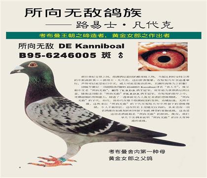 �����޵�