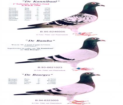 所向无敌、蓝波、波治号