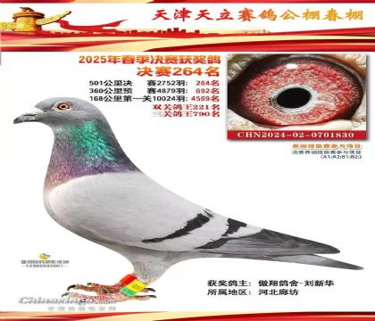 �������ِ������(����)501����Qِ264��   ��	