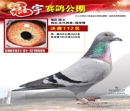 ��������ِ������500����Qِ112��   ��	