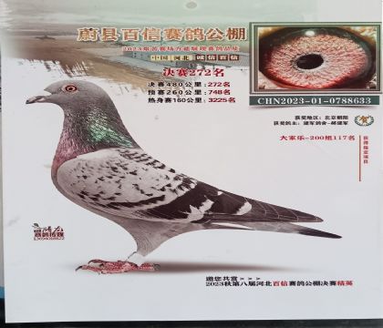 �ӱ�ε�h���������B(y��ng)ֳ����480����Qِ272��   ��	