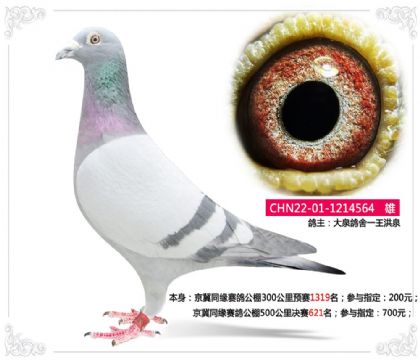 ����ͬ��ِ������500����Qِ621��   ��	