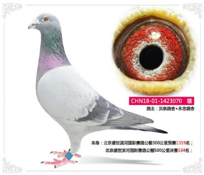 ����ʢ���I�Ӈ�(gu��)�Hِ������500����Qِ534��   ��