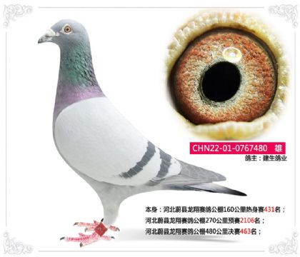 �ӱ�ε�h����ِ������480����Qِ463��   ��	