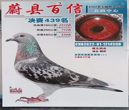 �ӱ�ε�h���������B(y��ng)ֳ����480����Qِ439��  ��	