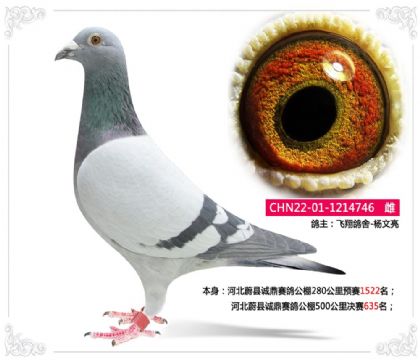 �ӱ�ε�h�\(ch��ng)��ِ������500����Qِ635��   ��	