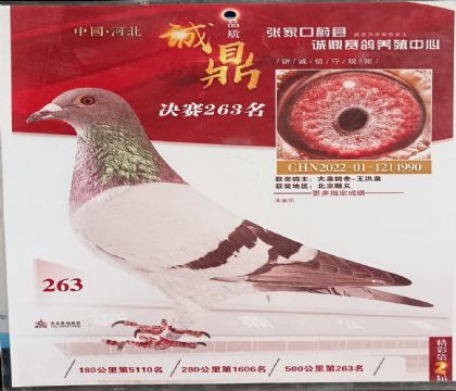 �ӱ�ε�h�\(ch��ng)��ِ������500����Qِ263��   ��	