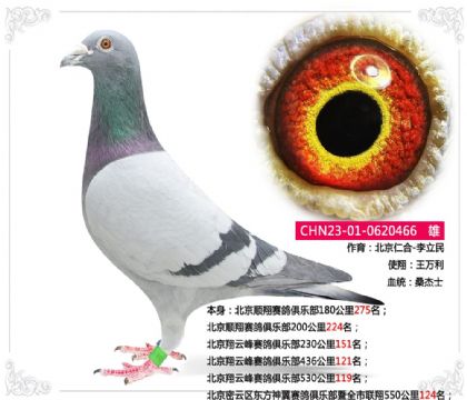 �����������ʺ�-������--ȫ��(li��n)��550����124��   ��