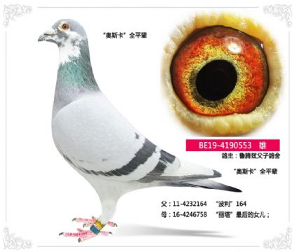 �����r(sh��)----���vƝ��������--���W˹����ȫƽ݅    ��	